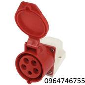 THAO Ổ cắm công nghiệp 5x32A cố định