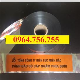 Long Khánh Băng cảnh báo cáp ngầm điện lực miền bắc