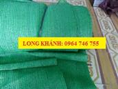 Cty Long Khánh Lưới chắn bụi công trình màu xanh